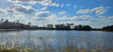 Farm and Ranch for sale in Marion County, Florida