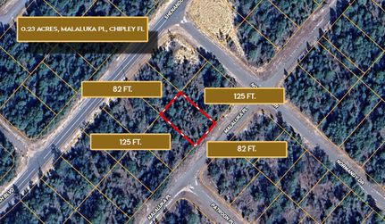 Undeveloped Land for sale in Washington County, Florida