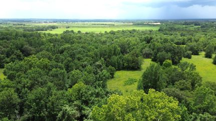 Timberland Property for sale in Houston County, Texas