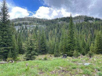 Undeveloped Land for sale in Idaho County, Idaho