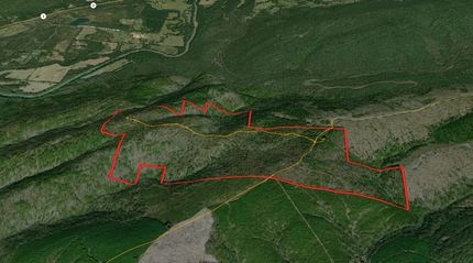 Timberland Property in Pushmataha County, Oklahoma