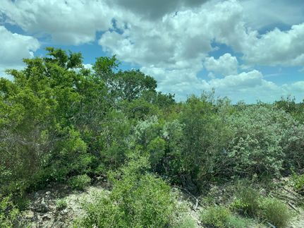 Farm and Ranch for sale in Duval County, Texas