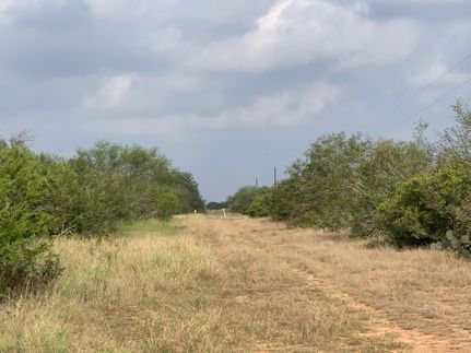 Timberland Property for sale in Duval County, Texas