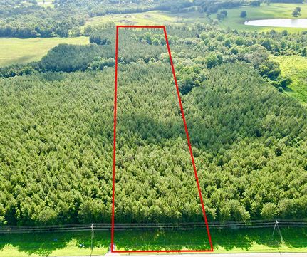 Hunting Property for sale in Pike County, Alabama