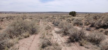 Undeveloped Land in Apache County, Arizona