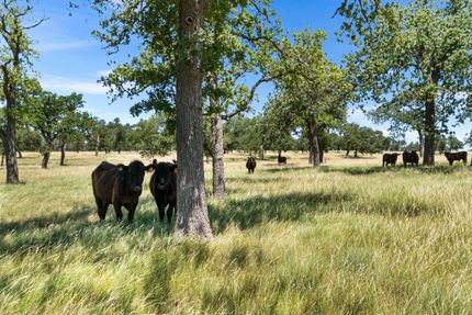 Farm and Ranch for sale in Gillespie County, Texas