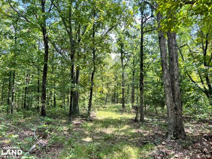 Timberland Property in Searcy County, Arkansas