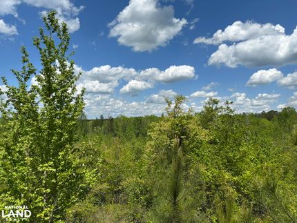 Undeveloped Land for sale in Wilkinson County, Georgia