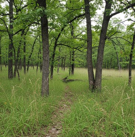 Recreational Property for sale in Garland County, Arkansas