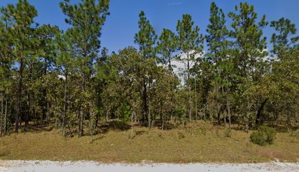 Recreational Property for sale in Putnam County, Florida