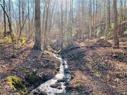 Land in Lumpkin County, Georgia