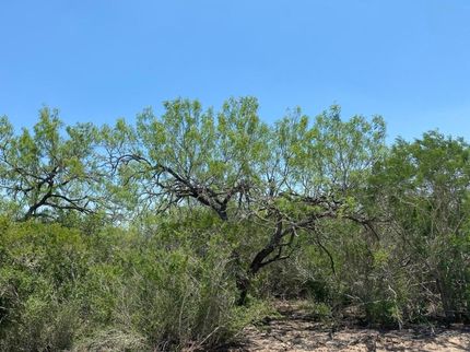 Farm and Ranch in Duval County, Texas