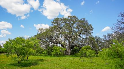 Homesite for sale in San Saba County, Texas