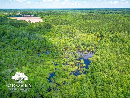 Undeveloped Land for sale in Robeson County, North Carolina