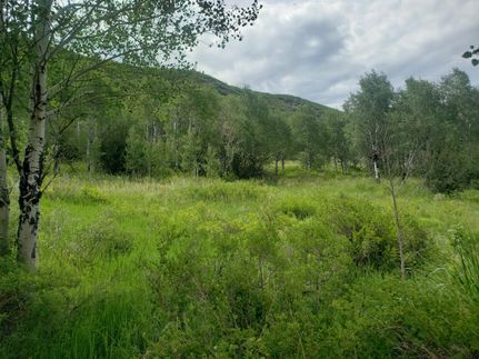 Hunting Property for sale in Routt County, Colorado