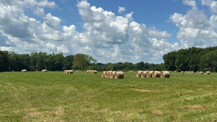 Horse Property for sale in White County, Arkansas