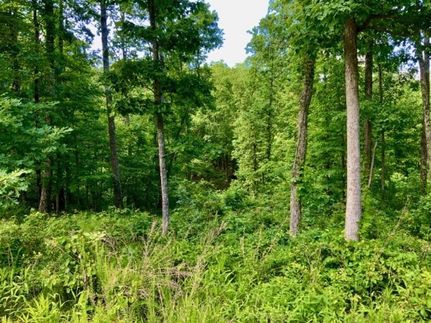 Timberland Property for sale in Humphreys County, Tennessee