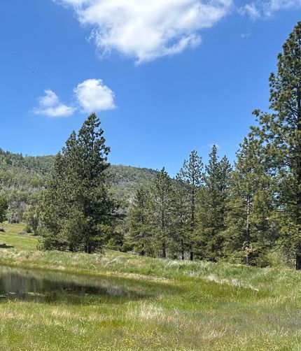Undeveloped Land for sale in Mariposa County, California
