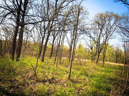 Land for sale in Benton County, Missouri