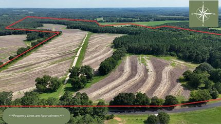 Farm and Ranch for sale in Dale County, Alabama