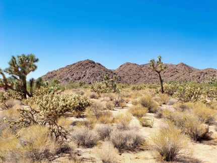 Recreational Property for sale in Mohave County, Arizona