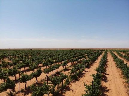 Farm and Ranch for sale in Terry County, Texas