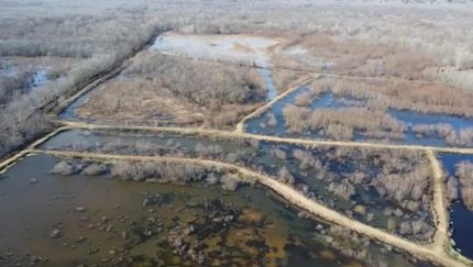 Horse Property for sale in Tate County, Mississippi