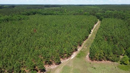 Timberland Property for sale in Telfair County, Georgia