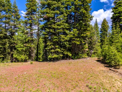 Undeveloped Land in Modoc County, California