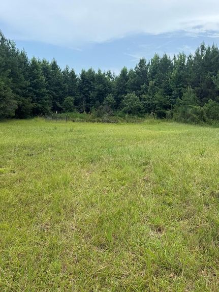 Undeveloped Land for sale in Pearl River County, Mississippi