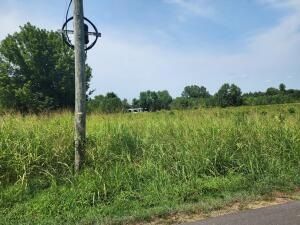 Undeveloped Land in Johnson County, Arkansas
