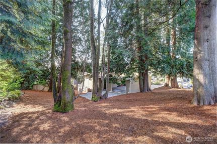 Timberland Property in King County, Washington