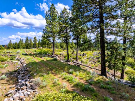 Undeveloped Land for sale in Modoc County, California