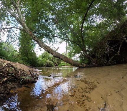 Waterfront Property for sale in Marion County, Mississippi