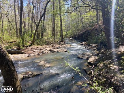 Undeveloped Land for sale in Cullman County, Alabama