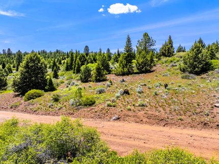 Undeveloped Land for sale in Modoc County, California