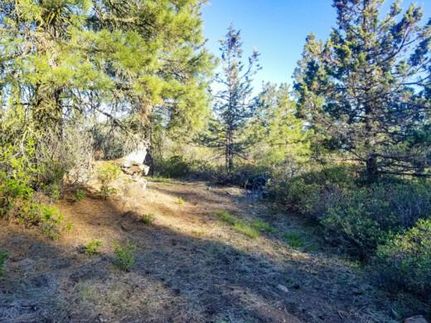 Undeveloped Land for sale in Klamath County, Oregon
