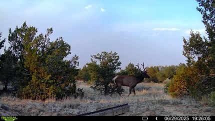 Land for sale in Cibola County, New Mexico