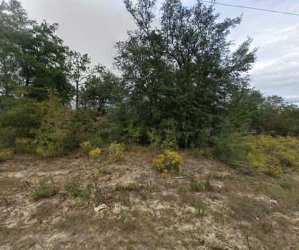 Undeveloped Land for sale in Washington County, Florida