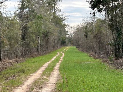 Recreational Property in Twiggs County, Georgia
