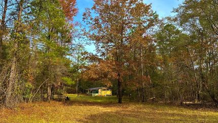 Undeveloped Land in Wilkinson County, Georgia