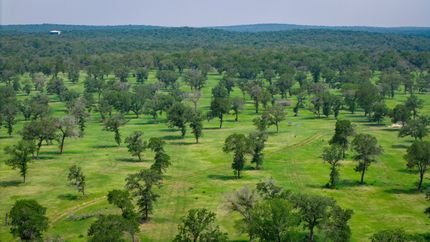 Land in Guadalupe County, Texas