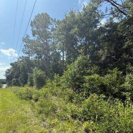 Farm and Ranch for sale in Okaloosa County, Florida