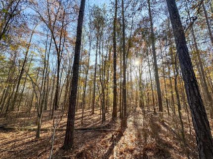 Recreational Property for sale in Elmore County, Alabama