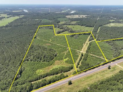 Land for sale in Polk County, Texas