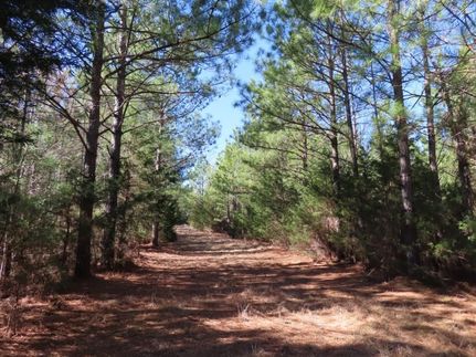 Recreational Property for sale in Fairfield County, South Carolina