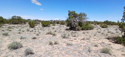 Farm and Ranch for sale in Apache County, Arizona