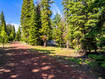 Undeveloped Land in Modoc County, California