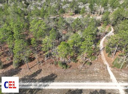 Homesite for sale in Levy County, Florida