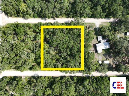Land for sale in Dixie County, Florida
